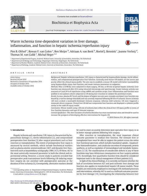 Warm ischemia time-dependent variation in liver damage, inflammation, and function in hepatic ischemiareperfusion injury by unknow