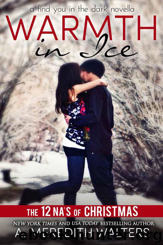 Warmth in Ice (A Find You in the Dark novella) by Walters A. Meredith & 12 NA's of Christmas