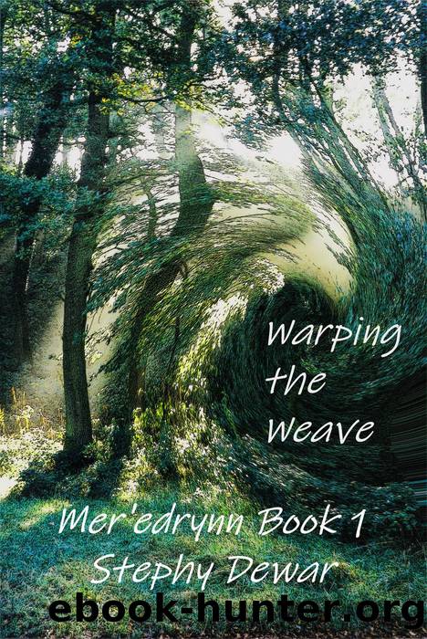 Warping the Weave by Stephy Dewar