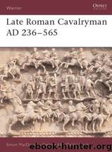Warrior [15] Late Roman Cavalryman AD 236-565 by Simon MacDowall