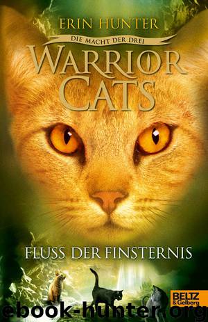 Warrior Cats - Die Macht der drei - Der Fluss der Finsternis - III Band 2 by Erin Hunter