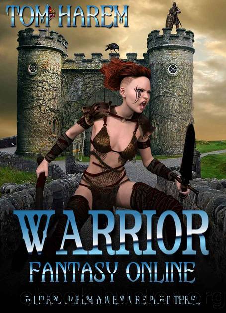 Warrior Fantasy Online: A LitRPG Harem Adventure Part Three by Tom Harem