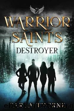 Warrior Saints - Destroyer: Stonehaven Academy Saints Book 2 by Carla Thorne