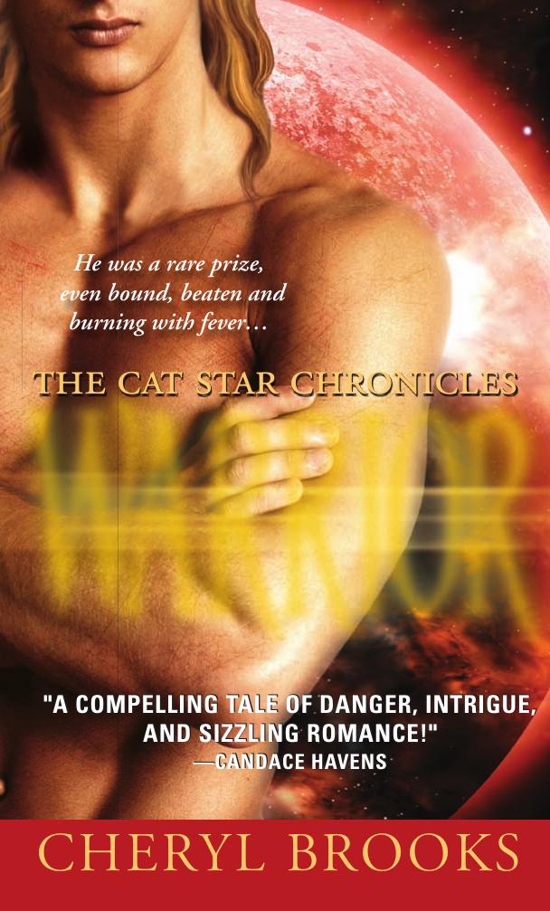 Warrior by Cheryl Brooks