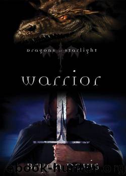 Warrior by Davis Bryan