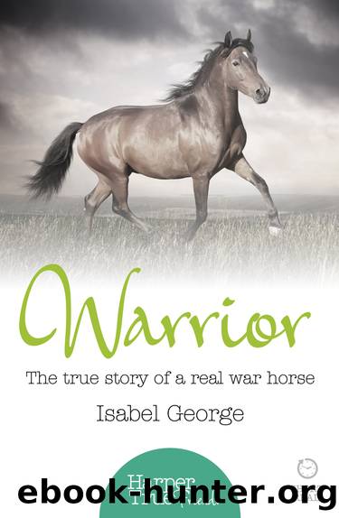 Warrior by Isabel George