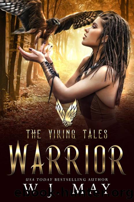Warrior by W.J. May