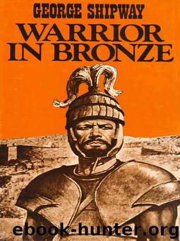 Warrior in Bronze by George Shipway
