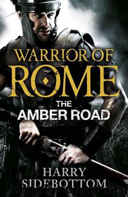 Warrior of Rome: The Amber Road by Sidebottom Harry