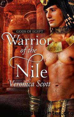 Warrior of the Nile (The Gods of Egypt) by Scott Veronica