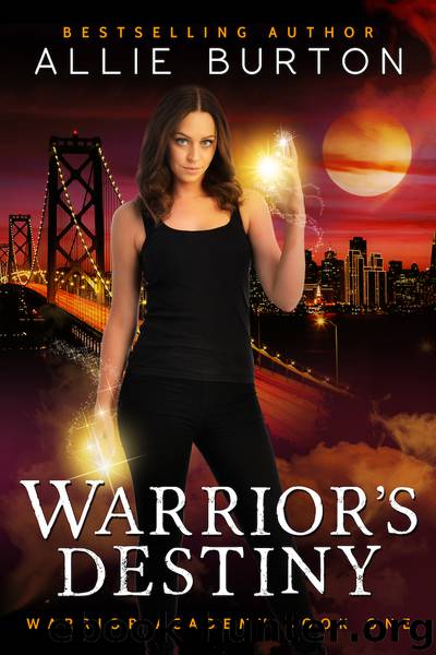 Warrior's Destiny by Allie Burton