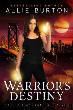 Warrior's Destiny: Warrior Academy Book One by Allie Burton