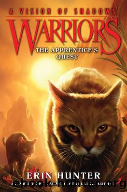 Warriors: A Vision of Shadows #1: The Apprentice's Quest by Erin Hunter