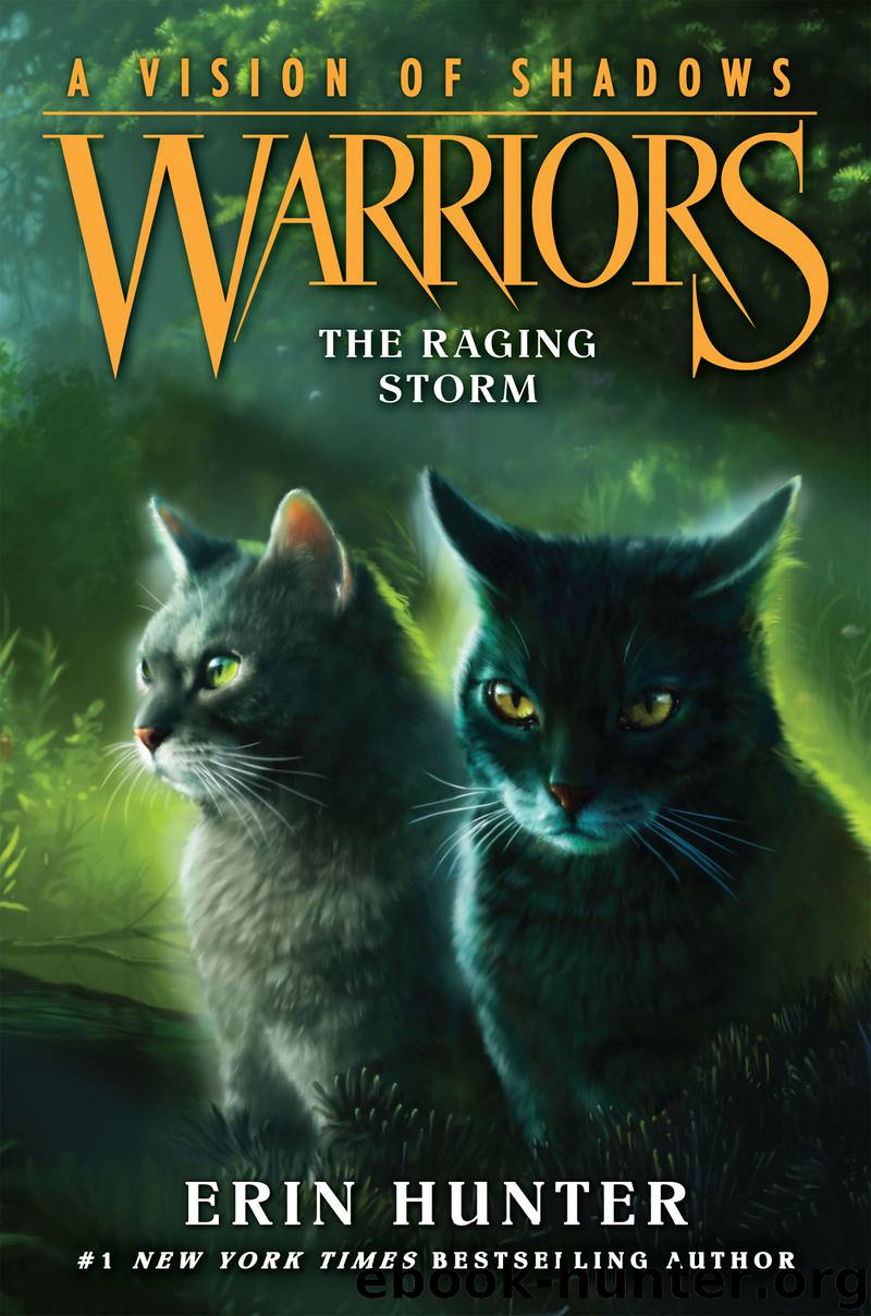 Warriors: A Vision of Shadows #6: The Raging Storm by Erin Hunter