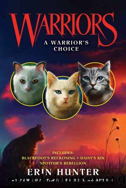 Warriors: A Warrior's Choice (Warriors Novella) by Erin Hunter
