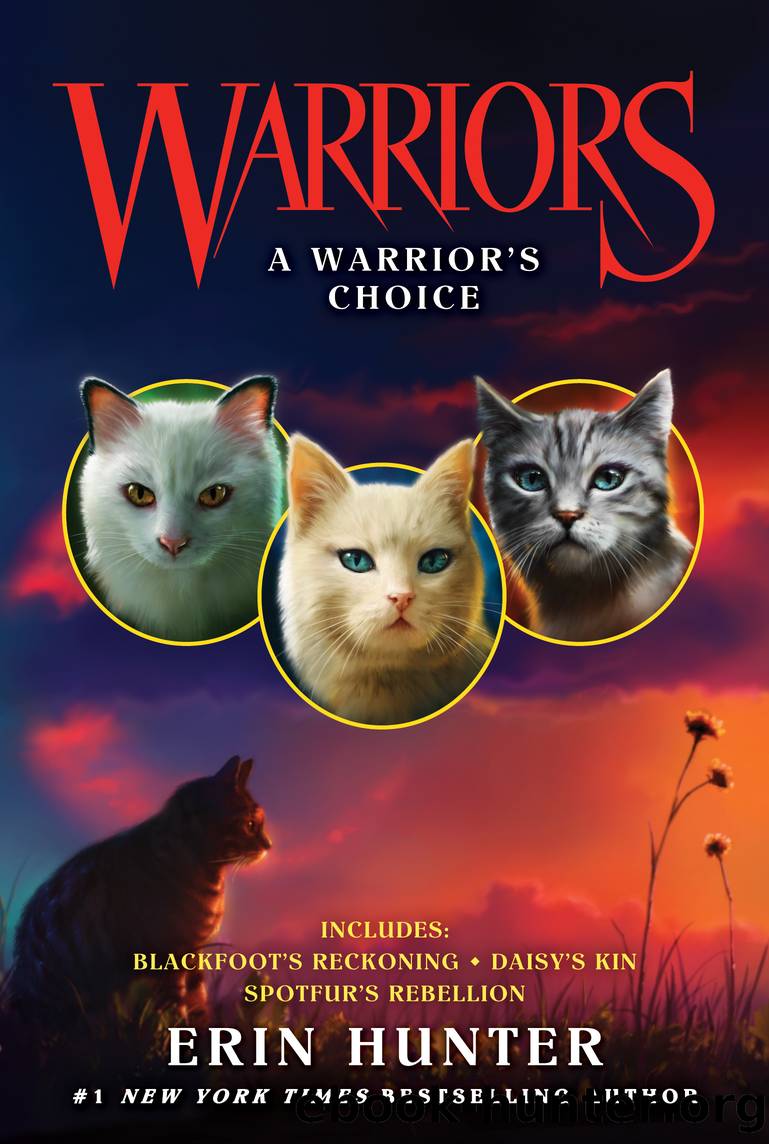 Warriors: A Warrior's Choice by Erin Hunter