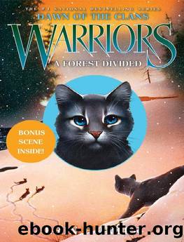 Warriors: Dawn of the Clans #5: A Forest Divided by Erin Hunter