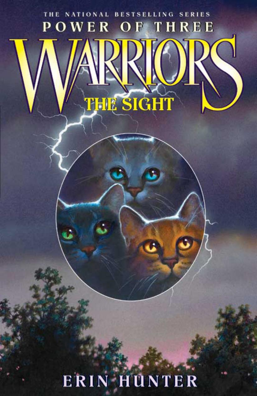 Warriors: Power of Three #1: The Sight by Erin Hunter