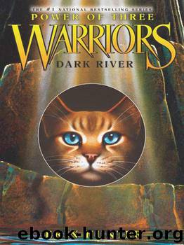 Warriors: Power of Three #2: Dark River by Hunter Erin