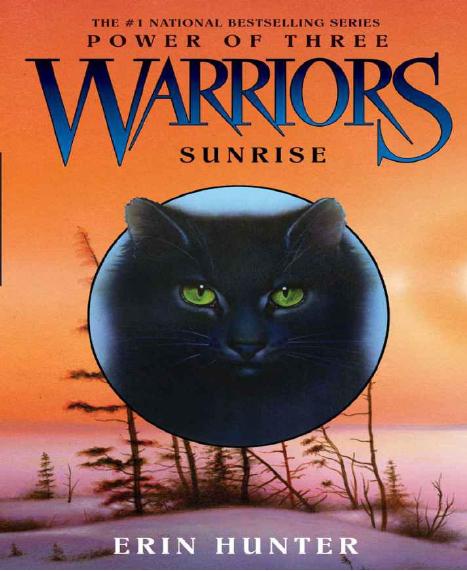 Warriors: Power of Three #6: Sunrise by Erin Hunter