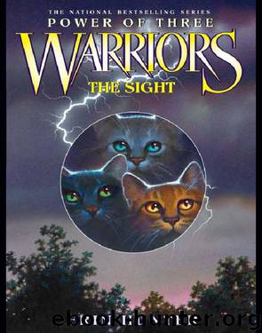 Warriors: Power of Three 01 - The Sight by Erin Hunter