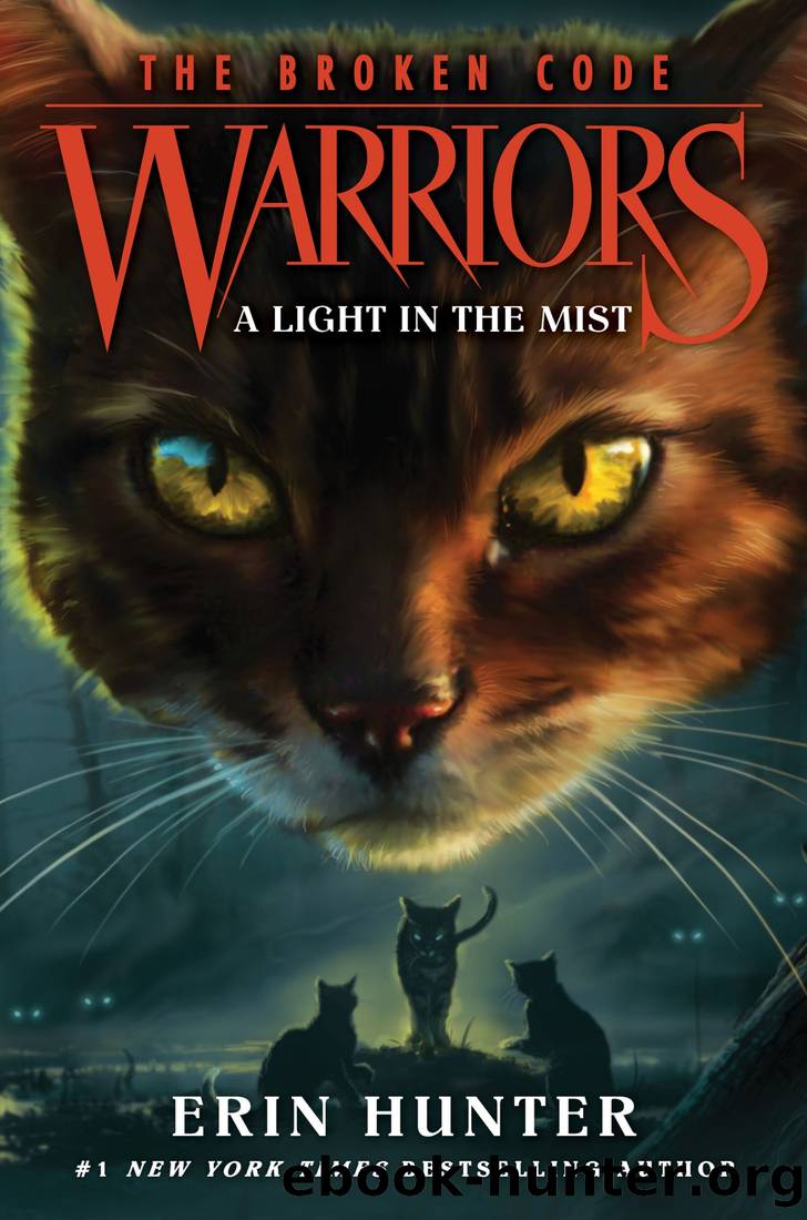 Warriors: The Broken Code #6: A Light in the Mist by Erin Hunter