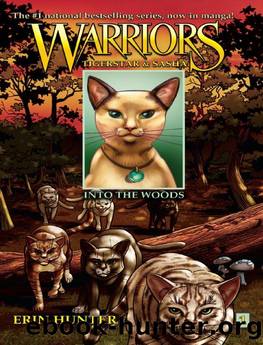 Warriors: Tigerstar and Sasha #1: Into the Woods (Warriors Manga) by Erin Hunter