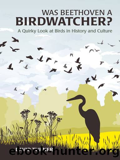 Was Beethoven A Birdwatcher? by David Turner