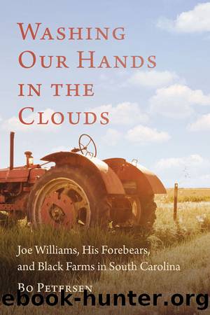 Washing Our Hands in the Clouds by Bo Petersen