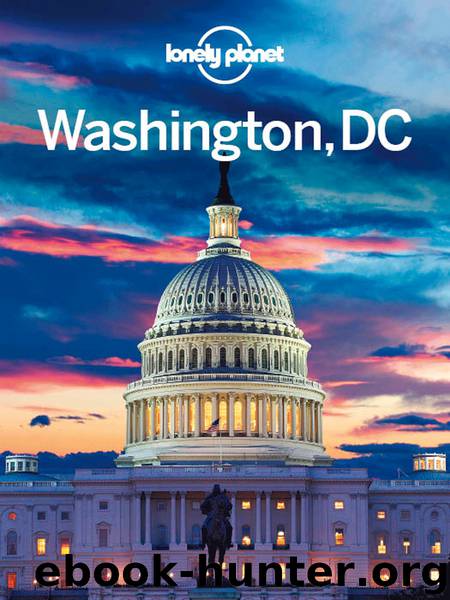 Washington DC Travel Guide by Lonely Planet