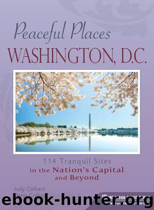 Washington, D.C. by Judy Colbert