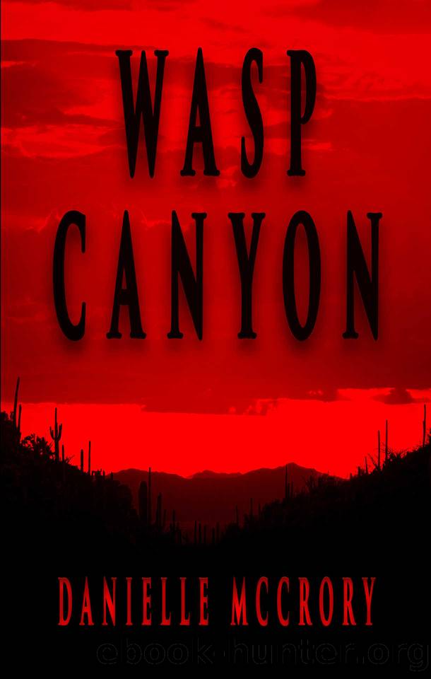 Wasp Canyon by Danielle McCrory