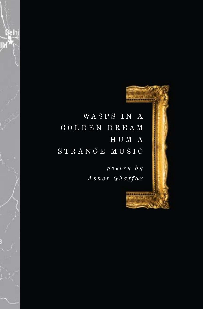 Wasps in a Golden Dream Hum a Strange Music by Asher Ghaffar