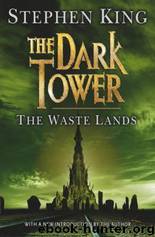 Waste Lands, The by King Stephen