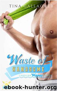 Waste of Handsome (Carolina Waves #2) by Tina Gallagher
