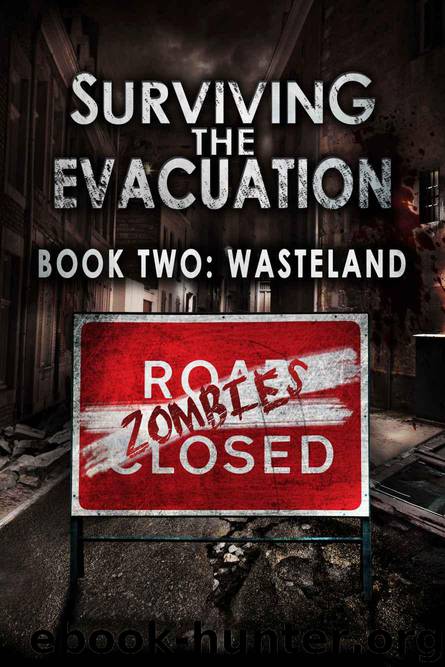 Wasteland by Frank Tayell