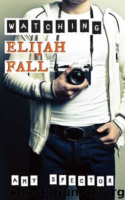 Watching Elijah Fall by Amy Spector