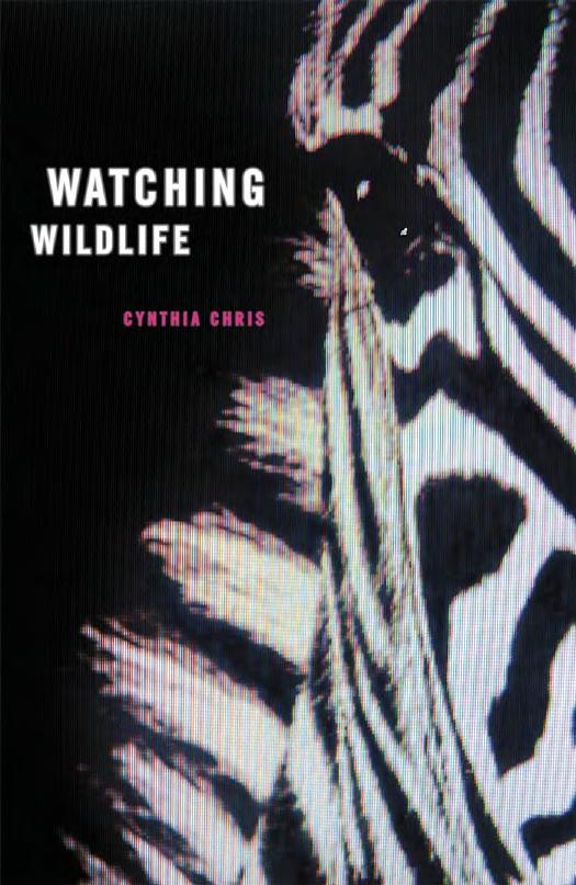 Watching Wildlife by Cynthia Chris