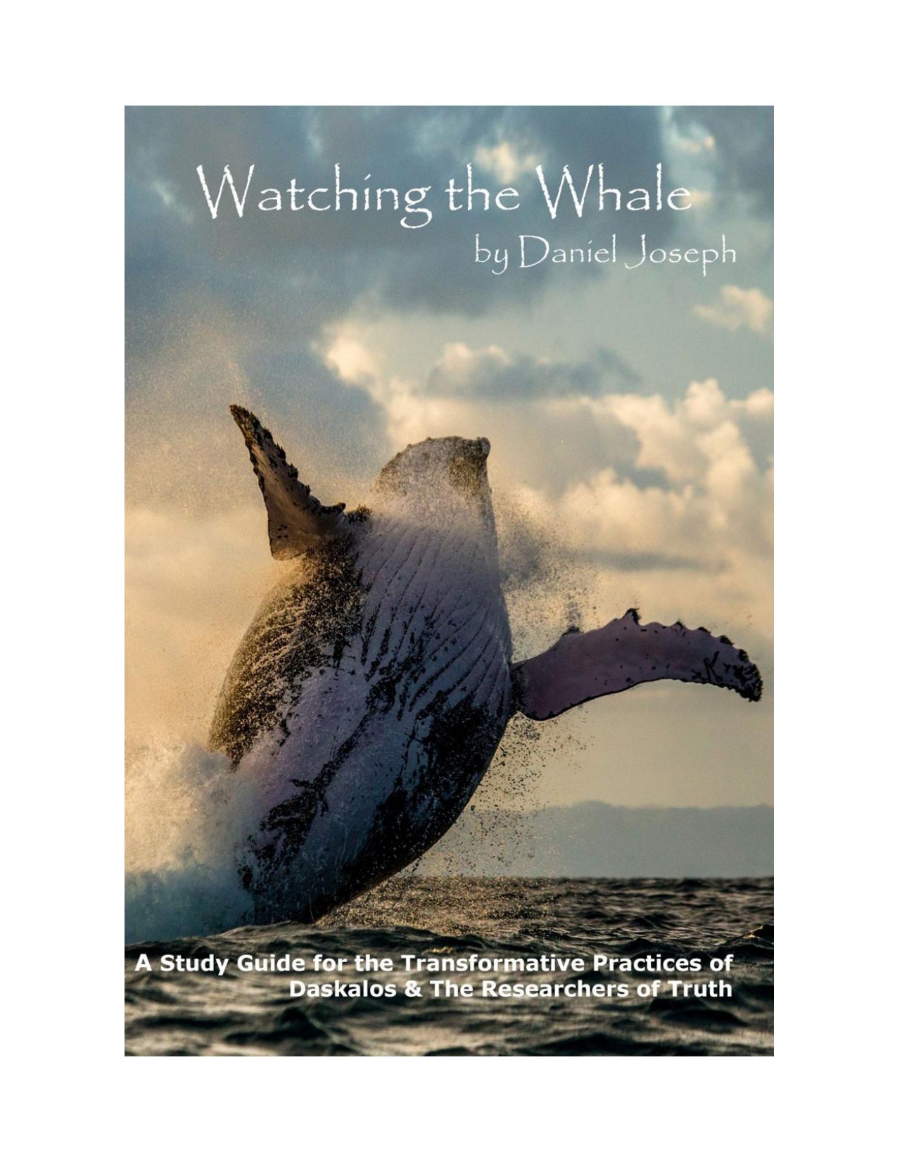 Watching the Whale (Teachings of Daskalos) by Daniel Joseph