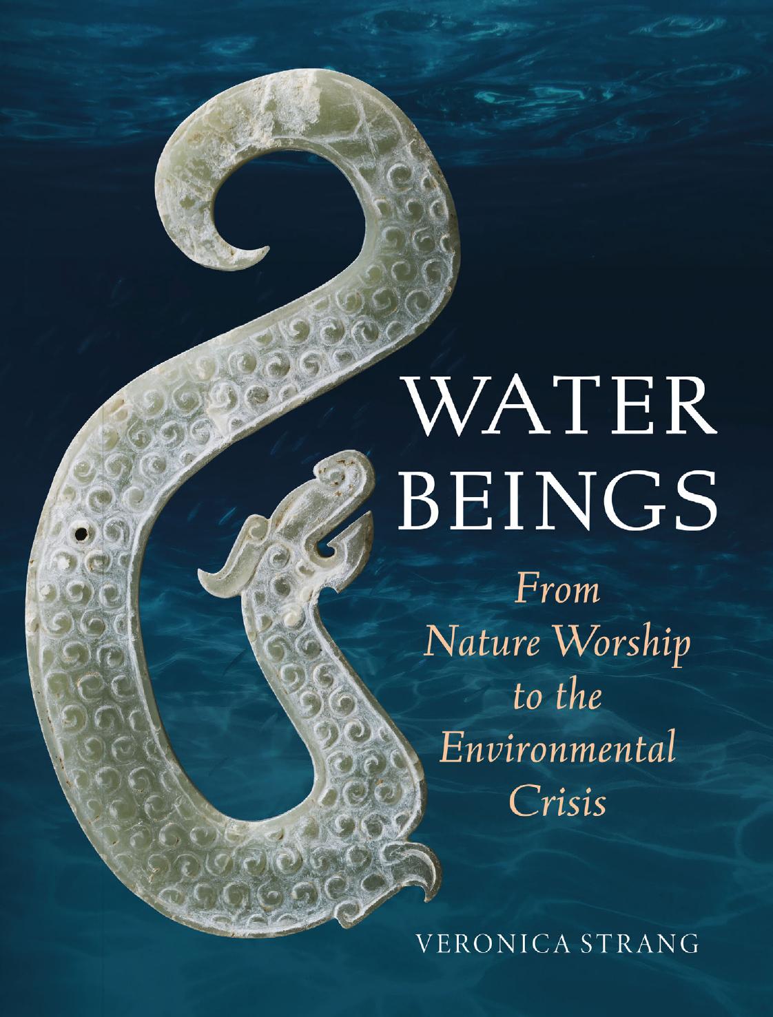 Water Beings: From Nature Worship to the Environmental Crisis by Veronica Strang