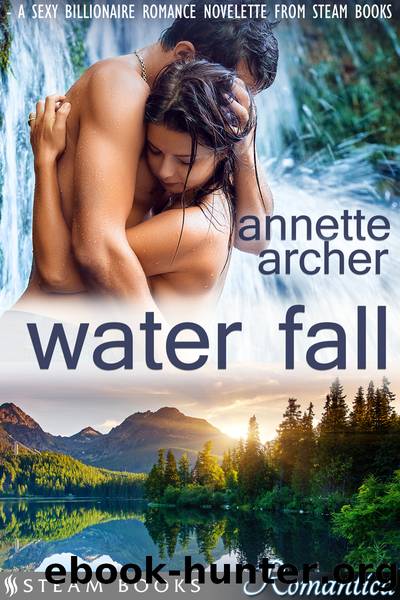 Water Fall--A Sexy Billionaire Romance Novelette from Steam Books by Annette Archer
