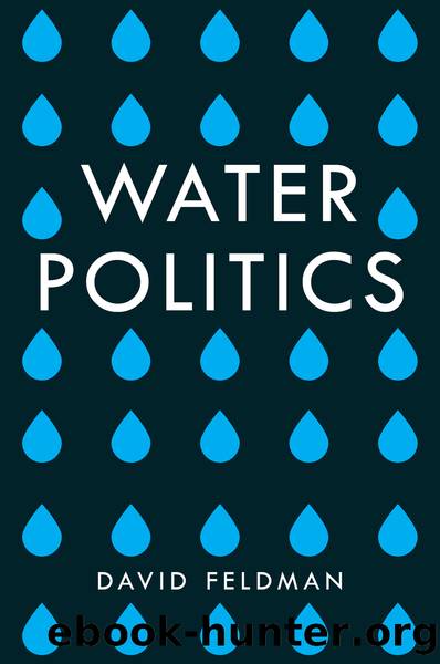 Water Politics by David L. Feldman