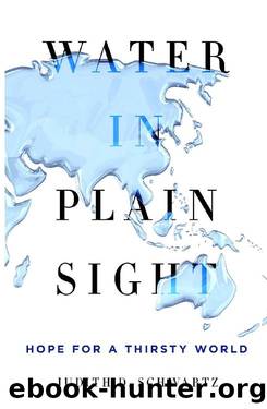 Water in Plain Sight by Judith D. Schwartz