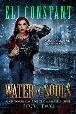 Water of Souls by Eli Constant