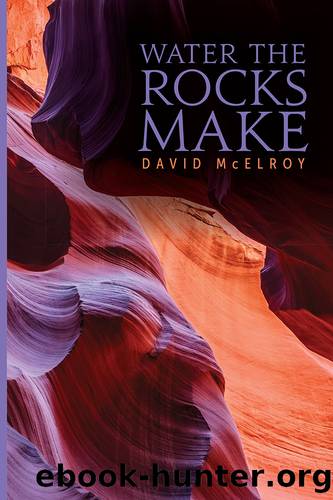 Water the Rocks Make by David McElroy