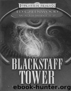 Waterdeep 01 - Blackstaff Tower by Steven E Schend