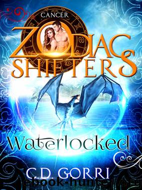 Waterlocked by C D Gorri
