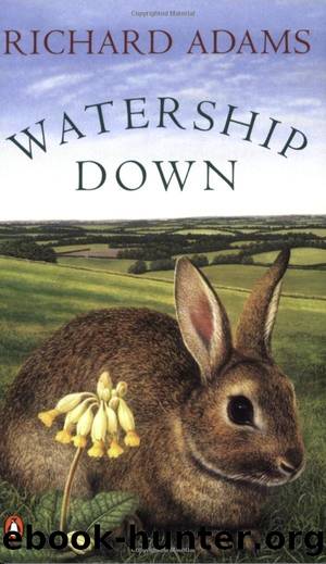 Watership Down.: Unten am FluÃ. by Richard Adams