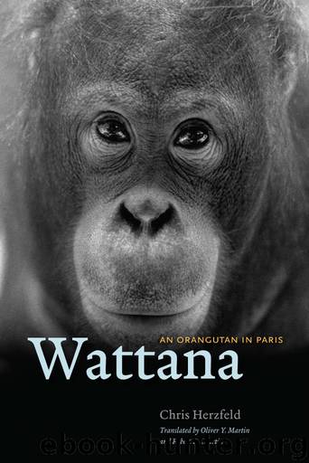 Wattana by Chris Herzfeld