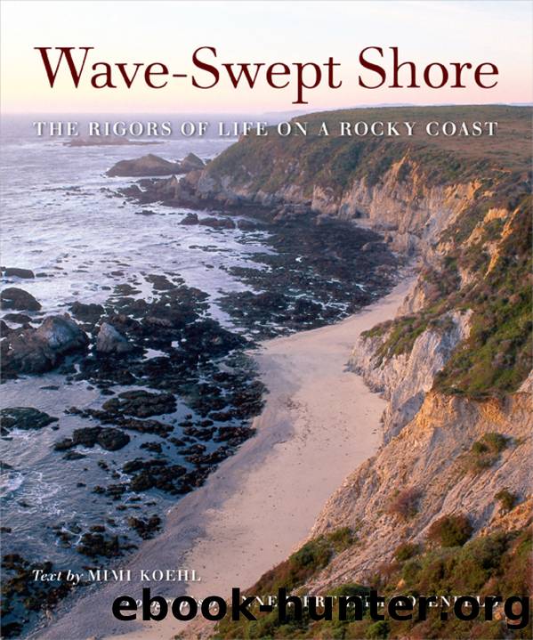 Wave-Swept Shore: The Rigors of Life on a Rocky Coast by Mimi Koehl & Anne Wertheim Rosenfeld
